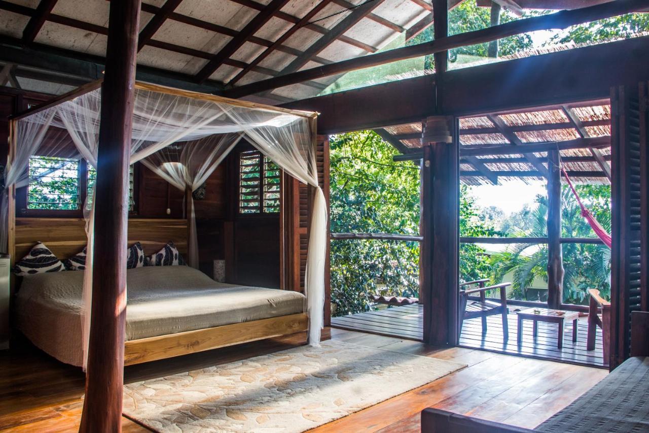 Funky Monkey Lodge Playa Santa Teresa  Extérieur photo
