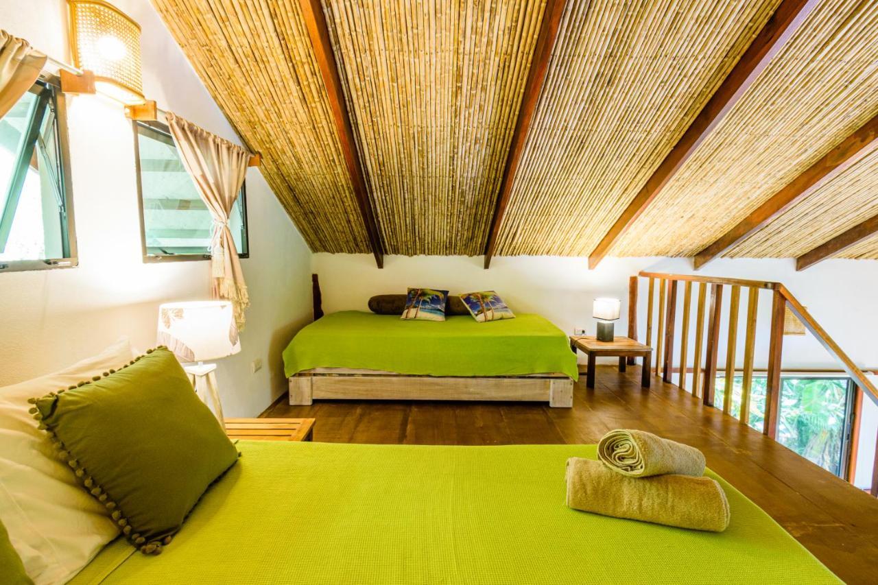 Funky Monkey Lodge Playa Santa Teresa  Extérieur photo